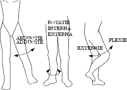 Reabilitare medicala